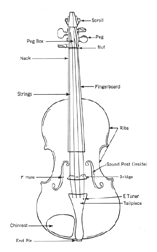 Violin Basics: Choosing and caring for violins | Johnson String Instrument